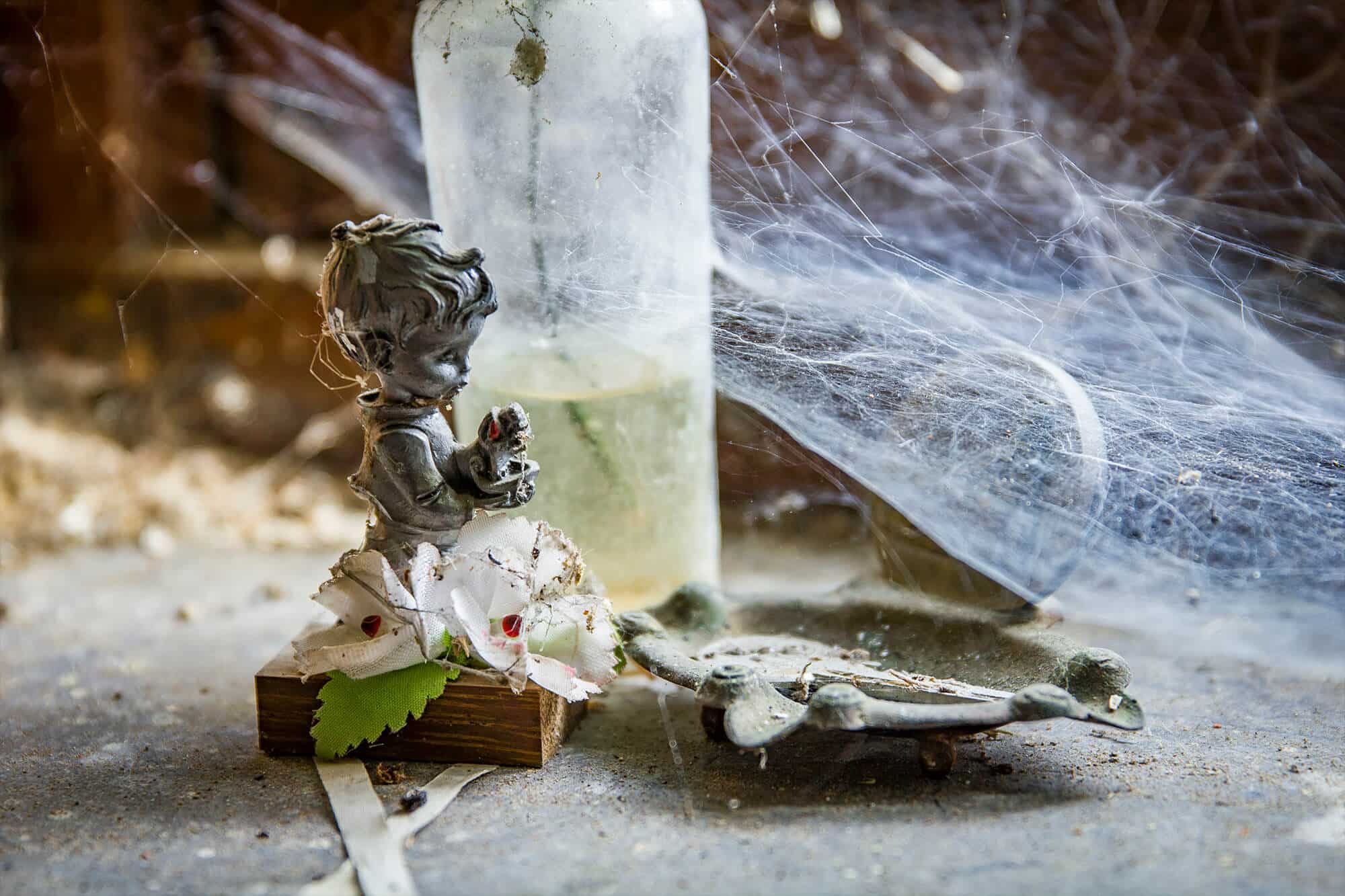 kunst met spinnenweb