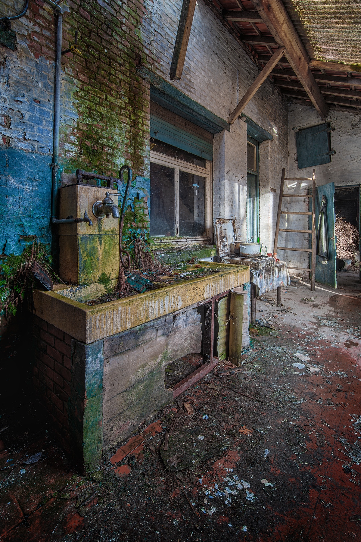 boerderij farm paternoster