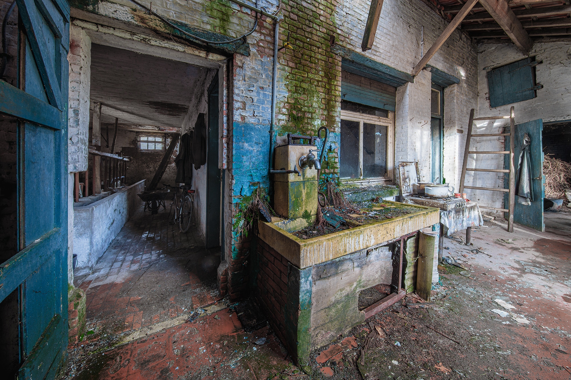 farm paternoster boerderij